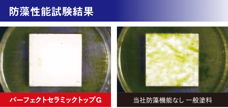 取手市・阿見町・守谷市・土浦市・稲敷市で外壁塗装・屋根塗装は幸和建装