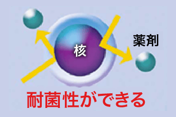 薬剤による除菌の場合｜オゾンの除菌｜ウイルス除菌サービス実施中｜取手・守谷・土浦でリフォームなら幸和建築工房