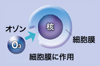 オゾンによる除菌の場合｜オゾンの除菌｜ウイルス除菌サービス実施中｜取手・守谷・土浦でリフォームなら幸和建築工房